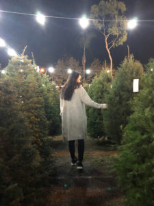 クリスマスツリーの販売風景　アメリカ
