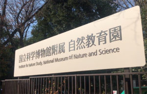国立博物館付属自然教育園