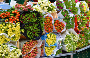 花市場のイメージ