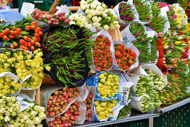 花市場のイメージ